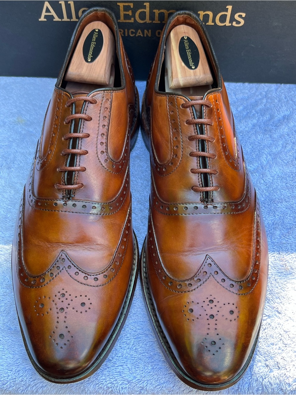 Allen Edmonds McClain Walnut Wingtip Oxfords With Custom Burnishing Sz 12D 🇺🇸